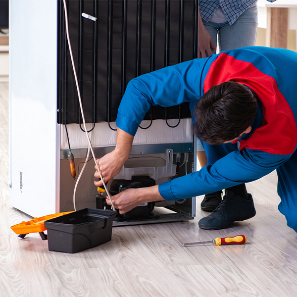 what are the common refrigerator repair services in Oakton